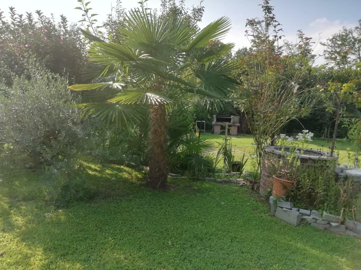 Un Bell Incontro Apartamento Borgo Ticino Exterior foto
